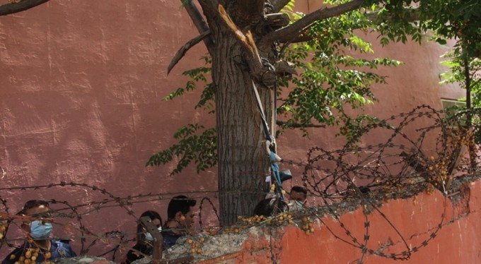 Okul bahçesinde korkunç manzara: Ağaca asılı olarak bulundu!