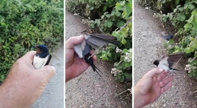 Bursa'dan örnek davranış!