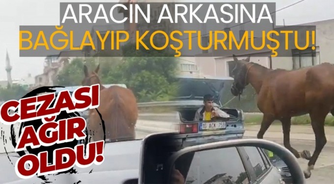 Bursa'da aracın arkasına at bağlayıp koşturmuştu: Cezası ağır oldu!