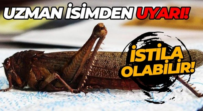 'Böcek' alarmı: İklim değişimi yeraltını da etkiliyor