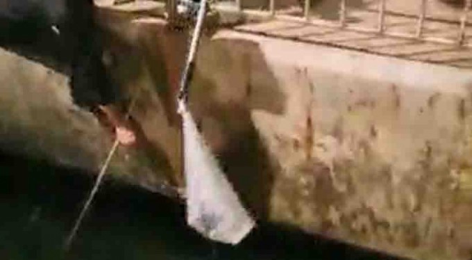 Bursa'da denize düşen kedinin imdadına balıkçı yetişti