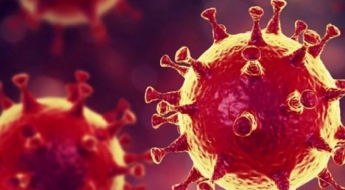 Koronavirüste son veriler paylaşıldı