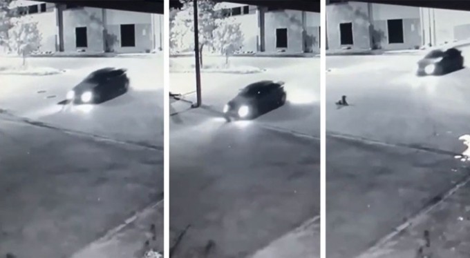 Bursa'da köpeği ezen sürücü kameralara yakalandı!