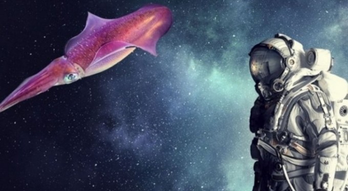 Uzayda yaşamın sırrı mürekkep balıklarında mı saklı?