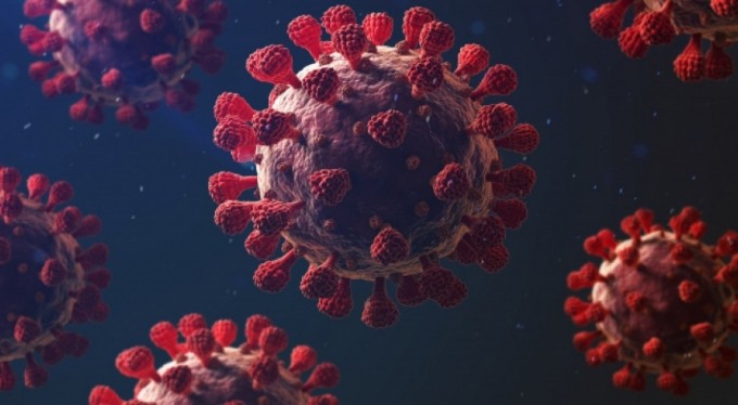 Japon araştırmacılar: 'Delta mutasyonu yaklaşık 2 kat daha bulaşıcı'