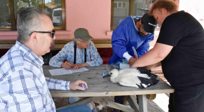 Yaren Leylek ve yavruları artık uydudan takip edilecek