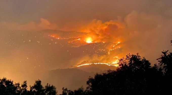 Bingöl Valiliği: "Yaklaşık 2 bin-2 bin 500 hektar alanın yangından etkilendiği değerlendirilmektedir"