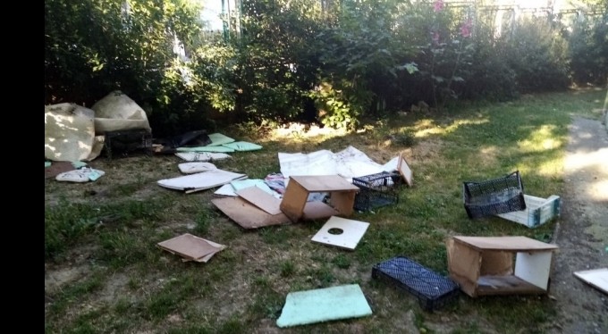 Bursa'da kedi evlerini yıktı! Mahalle sakinlerini tehdit etti