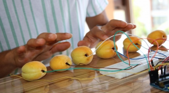 Tuşları kayısıdan olan piyano yaptı, görenler gözlerine inanamadı