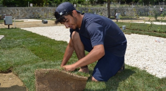 Pandeminin gülen sektörü: 'Peyzaj'
