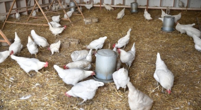 Çaresizlik üretimle umuda dönüşüyor