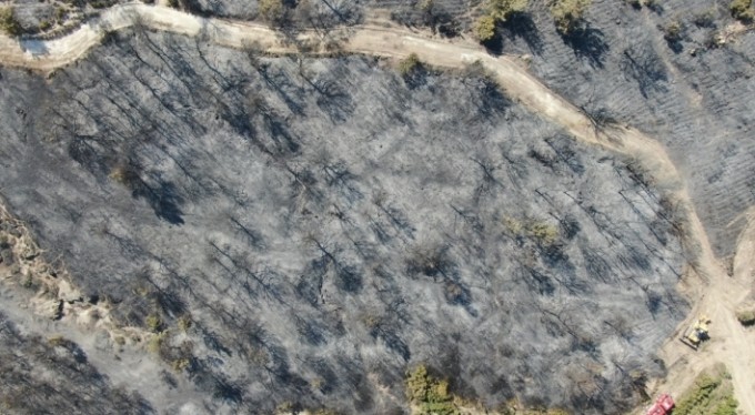 Foça yangınında hasarın boyutları havadan görüntülendi