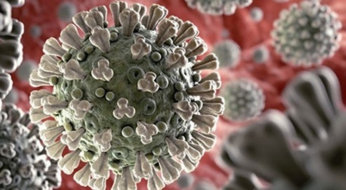 Çin, 'Monkey B' virüsünden ilk can kaybını bildirdi