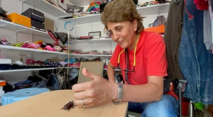 Gergedan böceğine gözü gibi bakıyor