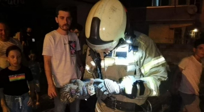 Yavru kediye itfaiyeden kurtarma operasyonu
