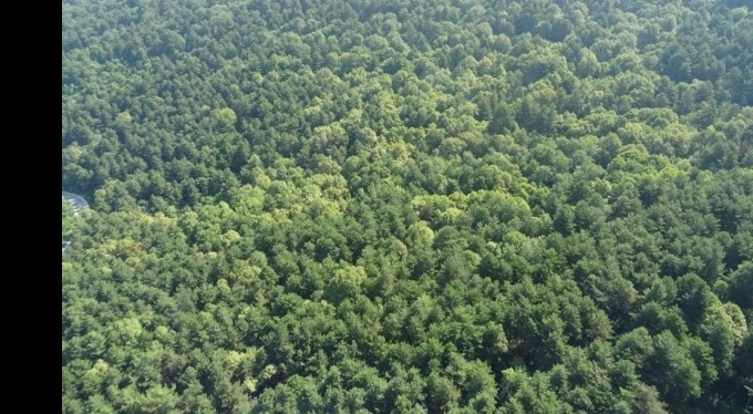 Bursa ormanları havadan ve karadan mercek altında