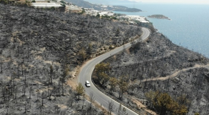 Sahil kesimi siyaha büründü!