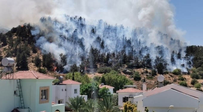 Kıbrıs'ta ormanlık alanda yangın