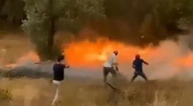 Patlayan kozalaklar saniyeler içinde yangını böyle büyüttü