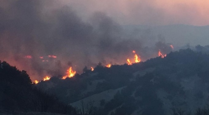 Denizli'nin ciğerleri alevlere teslim oldu