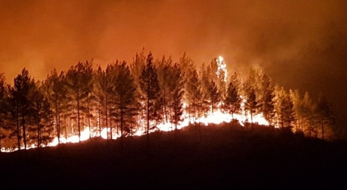 Manavgat'taki yangınla ilgili bir kişi tutuklandı