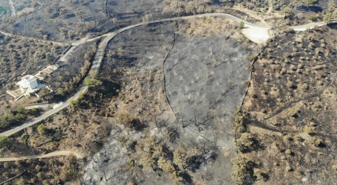 Zeytinliklerinin kül olduğunu gören köylüler gözyaşlarını tutamadı