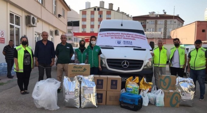 Yangın bölgesindeki can dostları unutulmadı