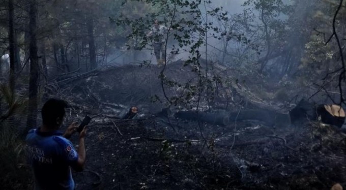 Bursa'da orman yangını paniği