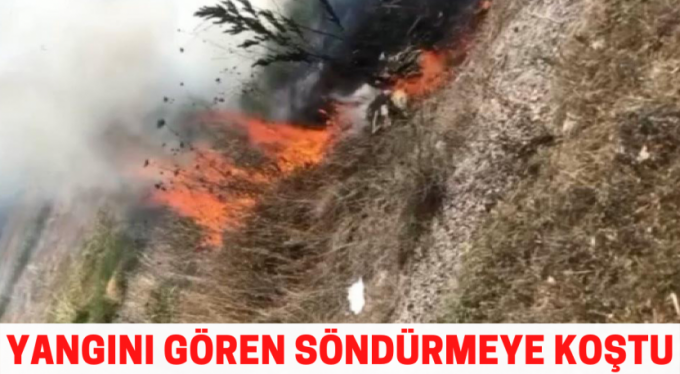 Yangını gören aracını durdurup müdahale etti