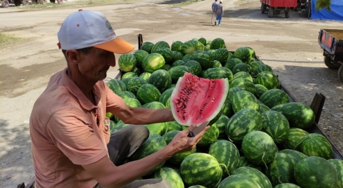 Karpuz ve kavun ekenin bu yıl yüzü güldü