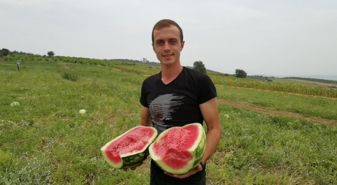 Üniversite öğrencisinin yetiştirdiği organik karpuzlara büyük talep