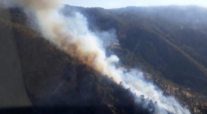 Bozdoğan'da orman yangını