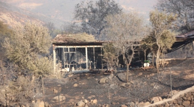 Bodrum yeniden alevlere teslim oldu