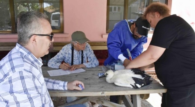 Türkiye'nin ilk uydu vericili leyleği 'Beş numara