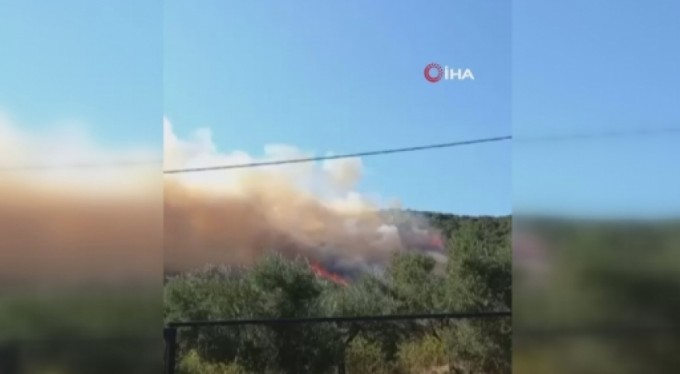 Bursa'da aynı anda 2 orman yangını