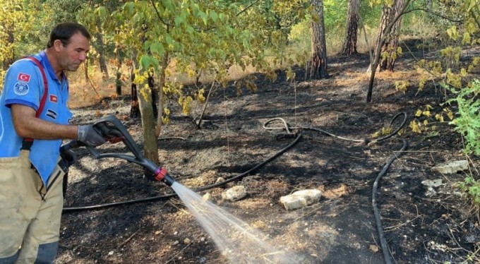Hızlı müdahale ormanı kül olmaktan kurtardı