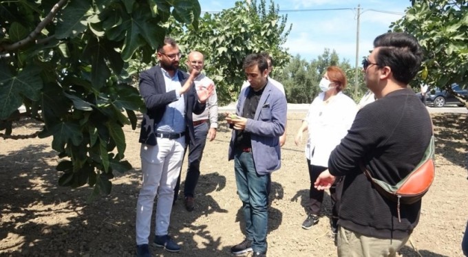 Siyah incir ihracatın gözdesi