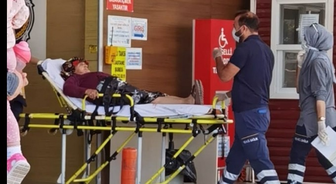 Yaşlı kadın köpeklerin saldırısına uğradı