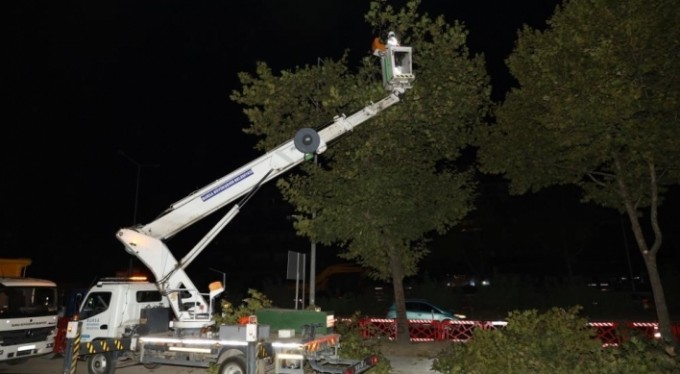 Yeni metro hattındaki ağaçlar kesilmek yerine taşındı