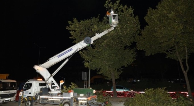 Yeni metro hattında ağaç seferberliğ