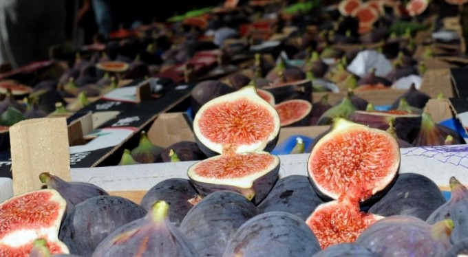 Bursa siyahı görücüye çıkıyor