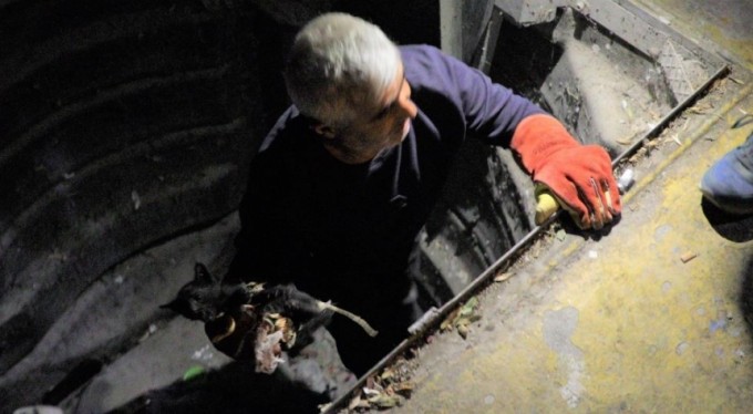 Çöpe atılan kediyi belediye kurtardı