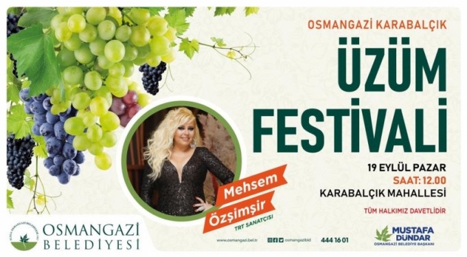 Osmangazi'de 'üzüm' vakti