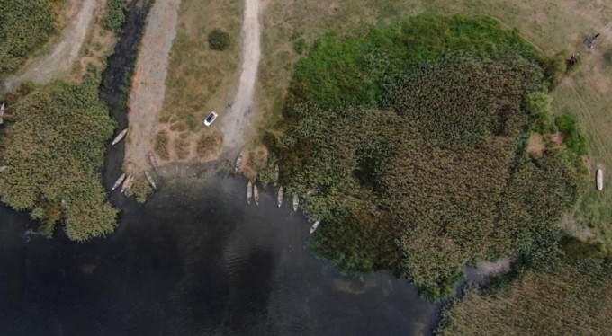 Uluabat'ta çember daralıyor... Kuş türleri risk altında