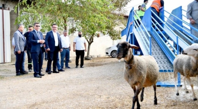 Mobil koyun banyosu çobanların ve koyunların hizmetinde
