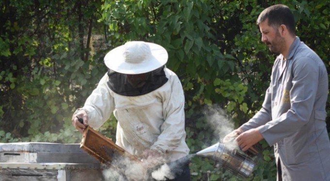Bursa'nın balı dünyayı tatlandırıyor