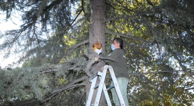 Aktaş: "Bir gün değil her gün koruyoruz"