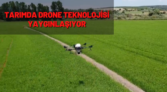 Tarımda drone teknolojisi yaygınlaşıyor