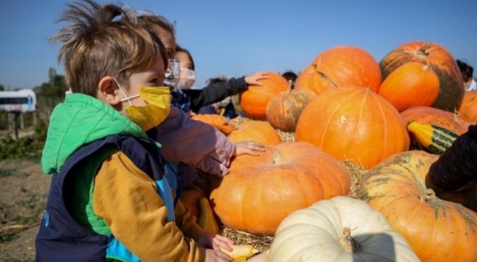 Minikler üretimi yerinde gördü