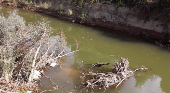 Bursa'da baraj kapakları kapanınca binlerce balık telef oldu